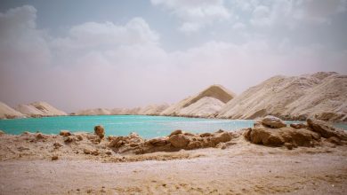 سيوة