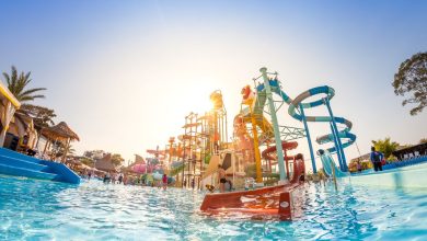 حديقة كارتون نتوورك أمازون