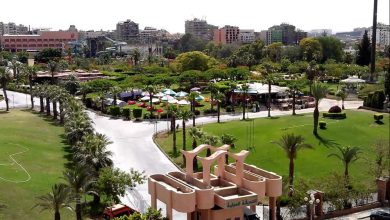 الحديقة الدولية في القاهرة