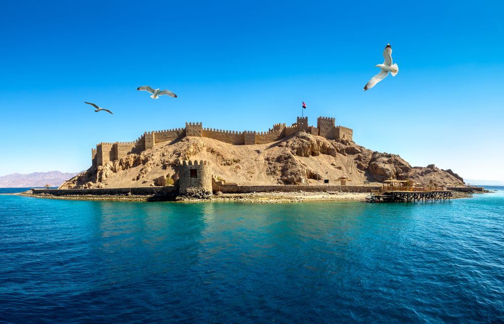 قلعة صلاح الدين جزيرة فرعون