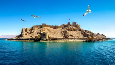 قلعة صلاح الدين في جزيرة فرعون طابا
