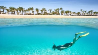 شواطئ مرسى علم