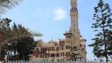 جزيرة الشاي بالاسكندرية