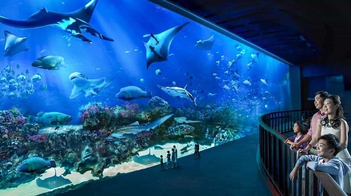أكواريوم سي سنغافورة (S.E.A. Aquarium)