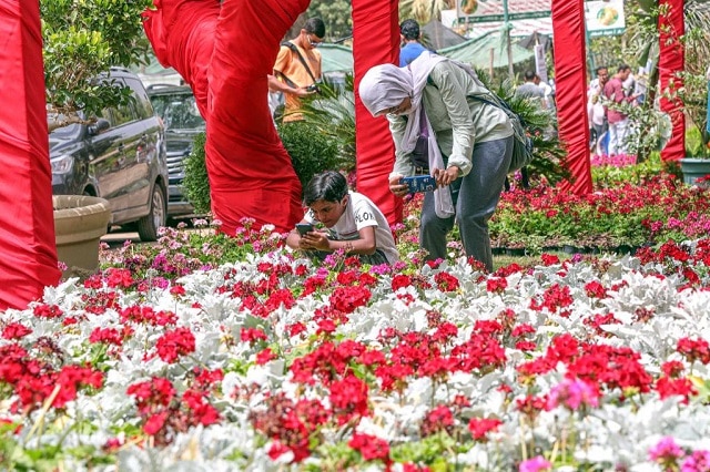 زيارة معرض زهور