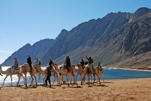 السياحة في مدينة دهب