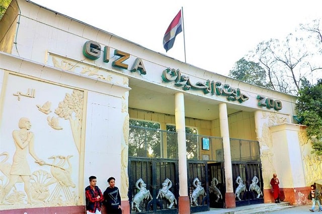 حديقة الحيوان بالجيزة