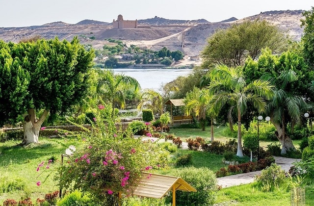 زيارة جزيرة النباتات في أسوان