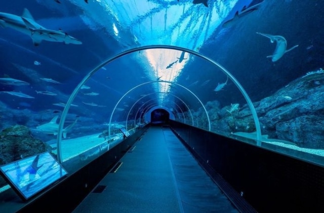 حديقة S.E.A. Aquarium