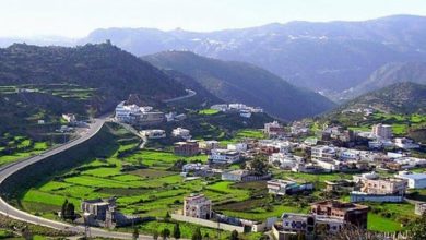 منتزه غابة رغدان