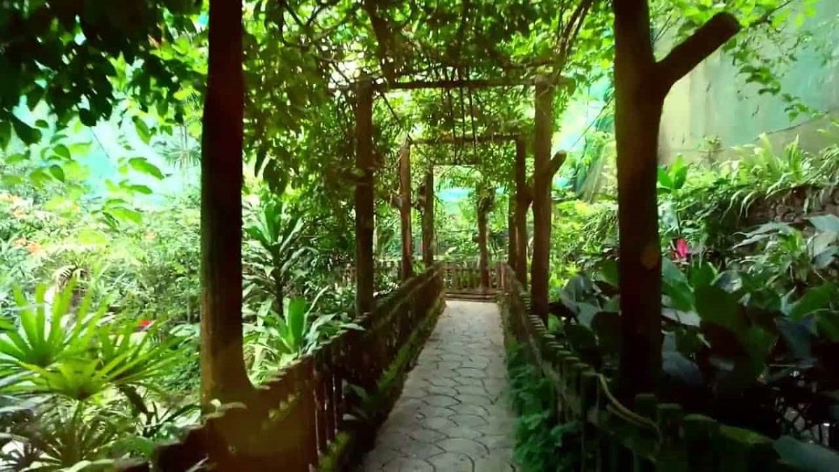 حدائق بينانج