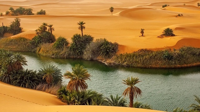 الطبيعة في نجامينا