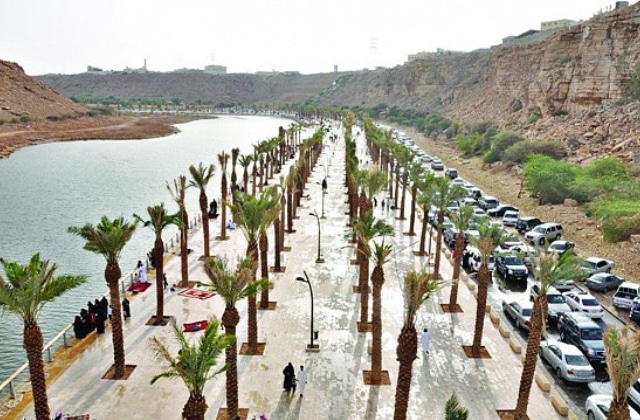 حديقة وادي نمار