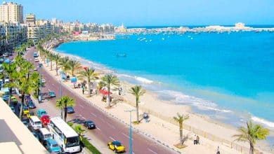 شاطئ النخيل اسكندرية