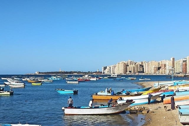 القوارب في شاطئ ميامي