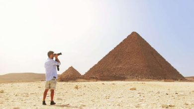 قالوا عن مصر