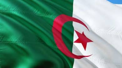 تأشيرة الجزائر للمصريين