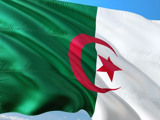 تأشيرة الجزائر للمصريين