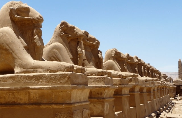 طريق الكباش في الأقصر