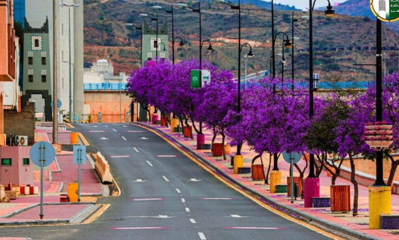 افضل اماكن سياحية في ابها