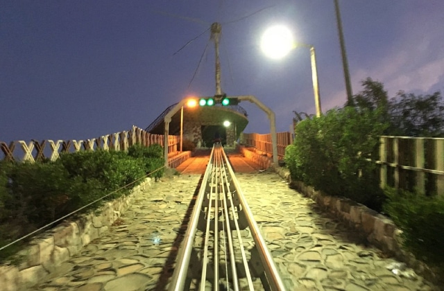 جانب من الحديقة
