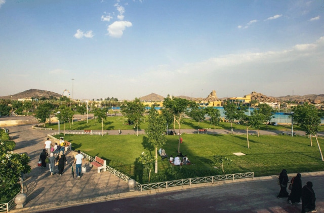 منتزهات الطائف