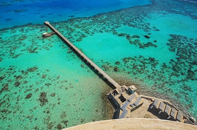 جزيرة سنقنيب في السودان