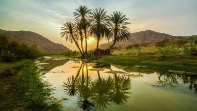 أطول الأودية في المملكة العربية السعودية