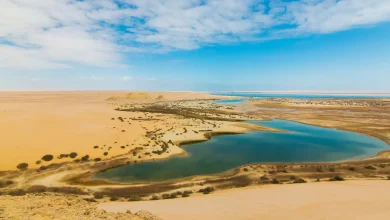 رحلات اليوم الواحد في الفيوم