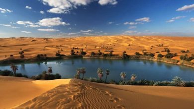 بحيرة قارون أبرز معالم السياحة في الفيوم