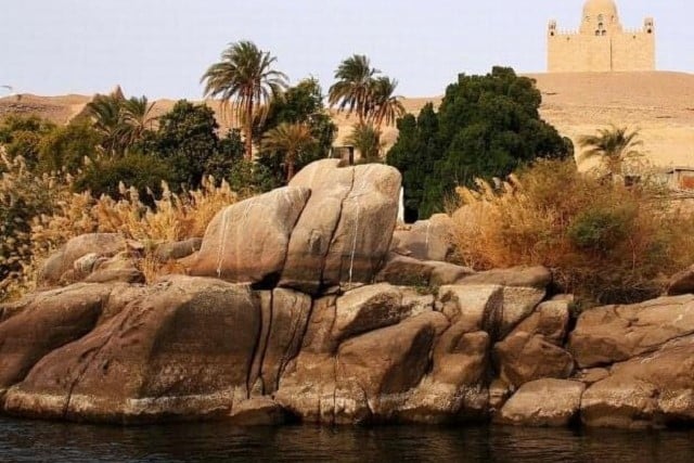 واحة العين الخضراء