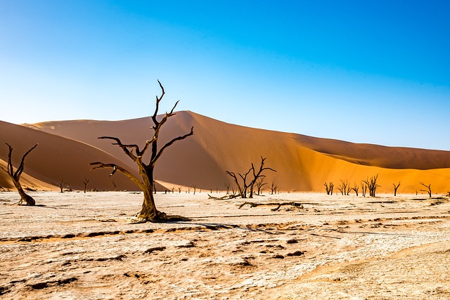 صحراء ناميبيا