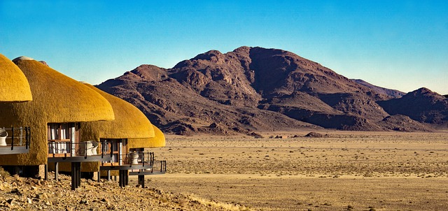 صحراء ناميبيا