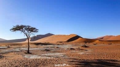 صحراء ناميبيا