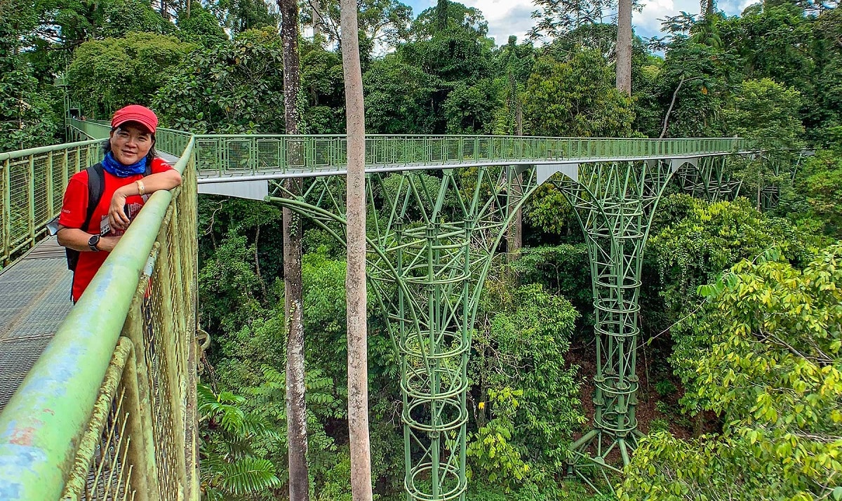 زيارة مركز استكشاف الغابة (Rainforest Discovery Centre)