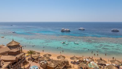 رحلات وزارة الشباب والرياضة 2025