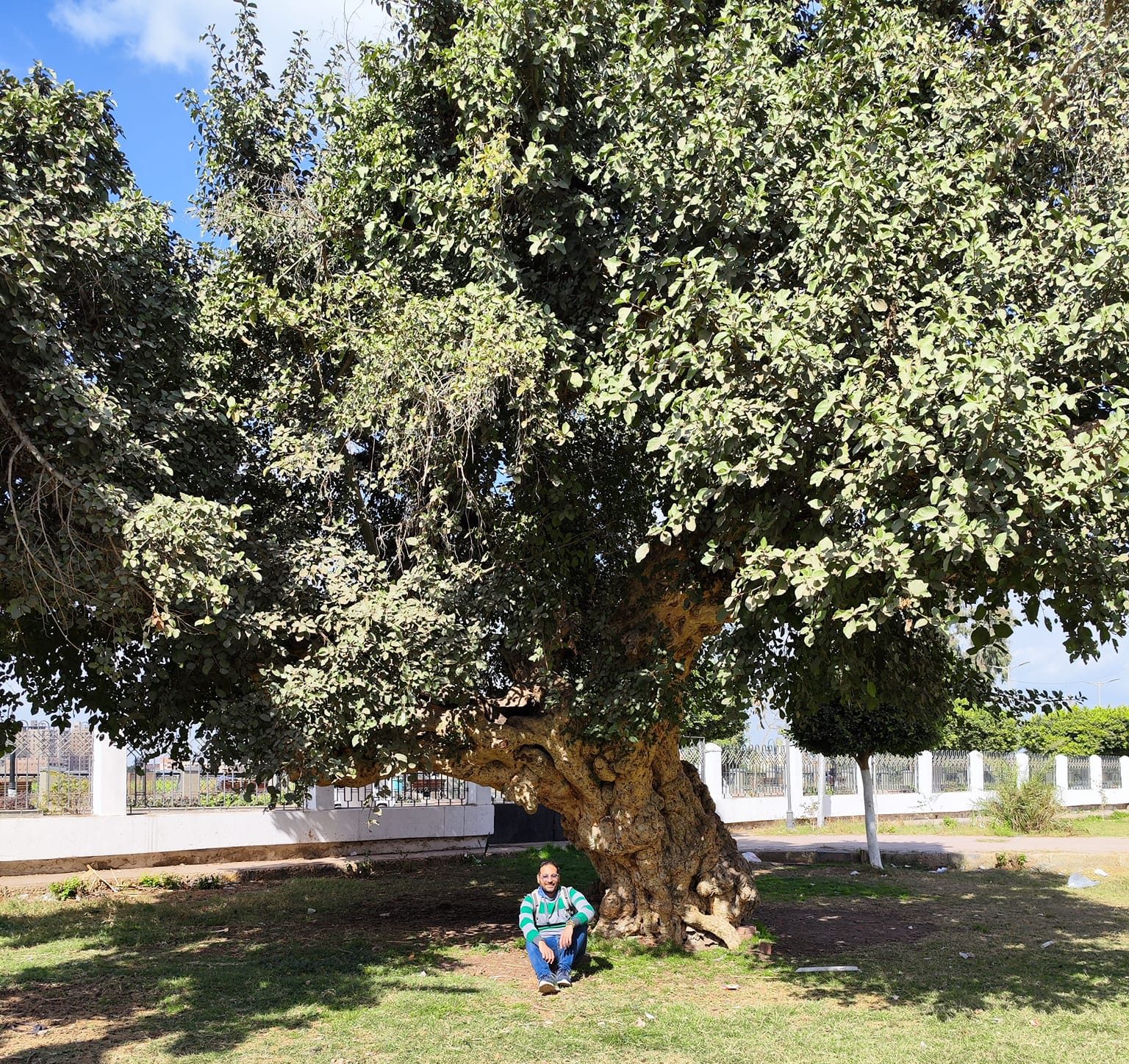 رحلة بنها العسل