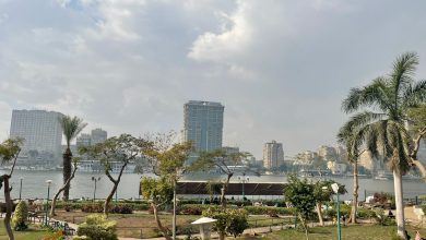 حديقة الفنون بالمنيل