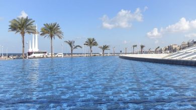 مكتبة الاسكندرية