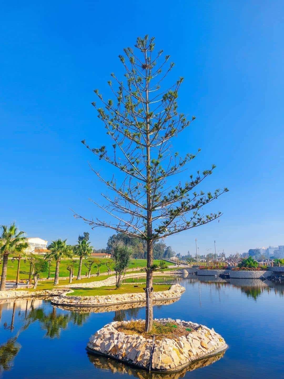 حدائق قصر المنتزه بالاسكندرية