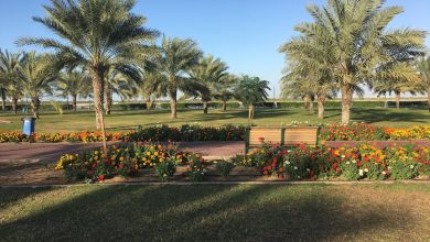 حديقة الصفيا عجمان