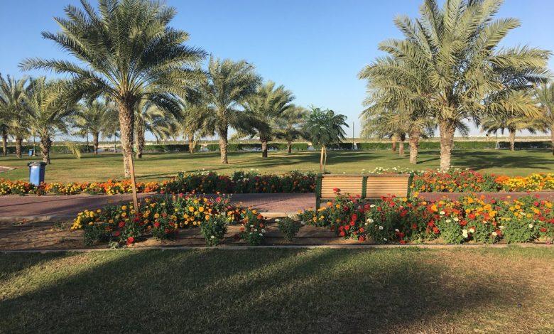 حديقة الصفيا عجمان