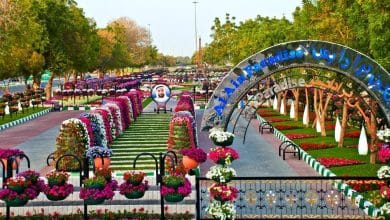 حديقة العين برادايس