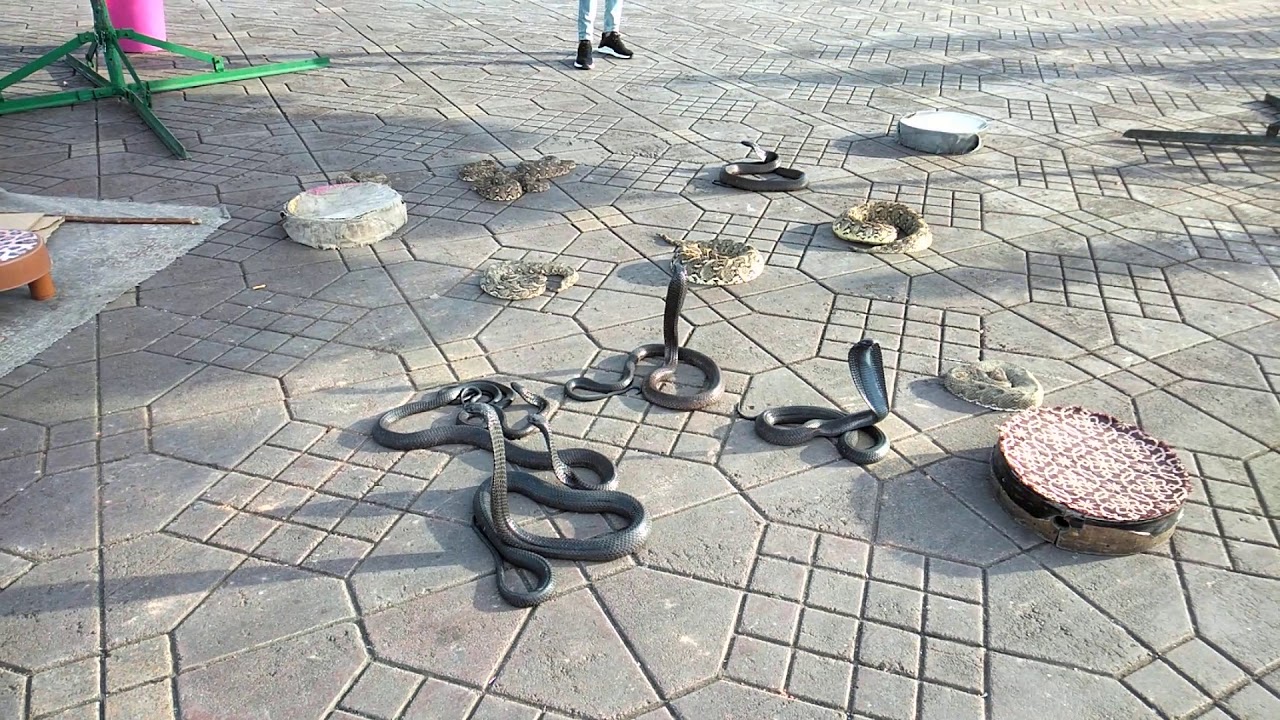 ساحة جامع الفنا