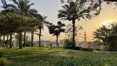 صور حديقة الأزهر