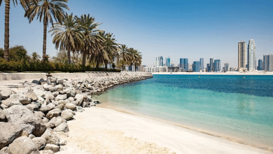 حديقة شاطئ الممزر دبي – أفضل مكان للمرح والاسترخاء على البحر في دبي