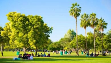 حديقة الراشدية للعائلات والأطفال