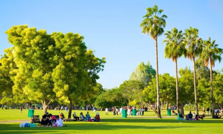 حديقة الراشدية للعائلات والأطفال