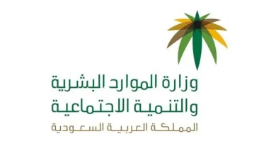 الاستعلام عن نطاق المؤسسة