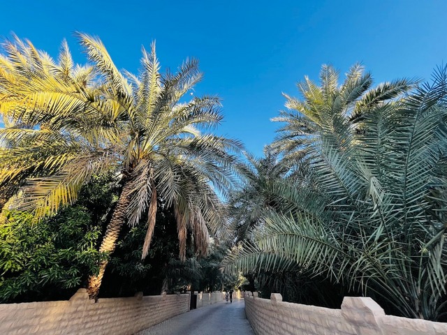 حديقة واحة العين